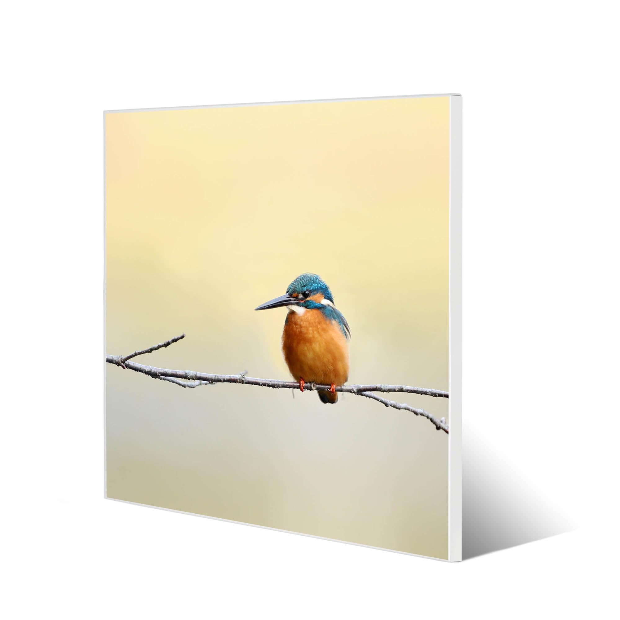 Banjado Magnettafel 50x50 cm Magnetwand Motiv Pause
