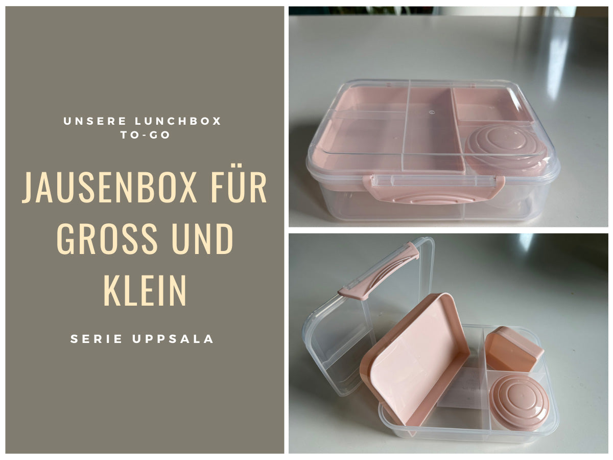 LS-LebenStil Küche & Haushalt Bento Box Rosa 3 Fächer 2 Ebenen