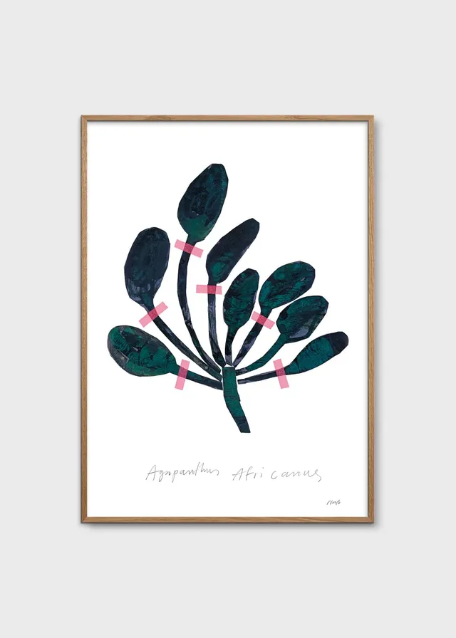 The Poster Club Agapanthus Kunstdruck 30x40 cm Blumen
