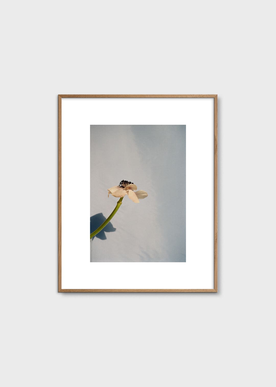 The Poster Club Art Prints Poppy Pop Poster 40x50 cm Blumen