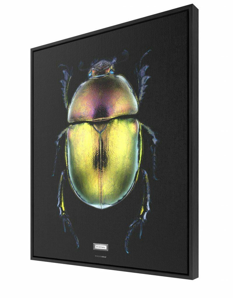 Mineheart Wall Art Mr Geotrupes Leinwandbild 30x41cm Käfer