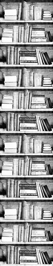 Mineheart Photocopy Bookshelf Tapete Bücherregal SW