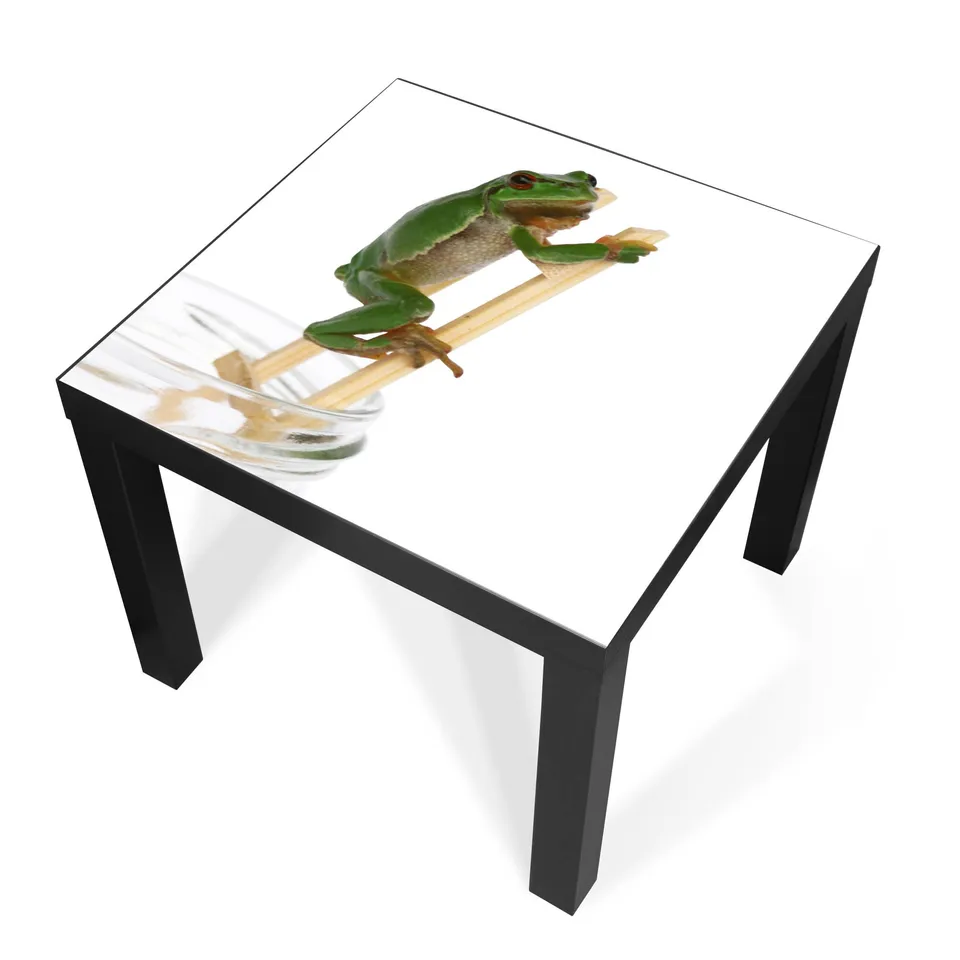 Banjado Möbelfolie Tischfolie Wetterfrosch 55x55 selbstklebend