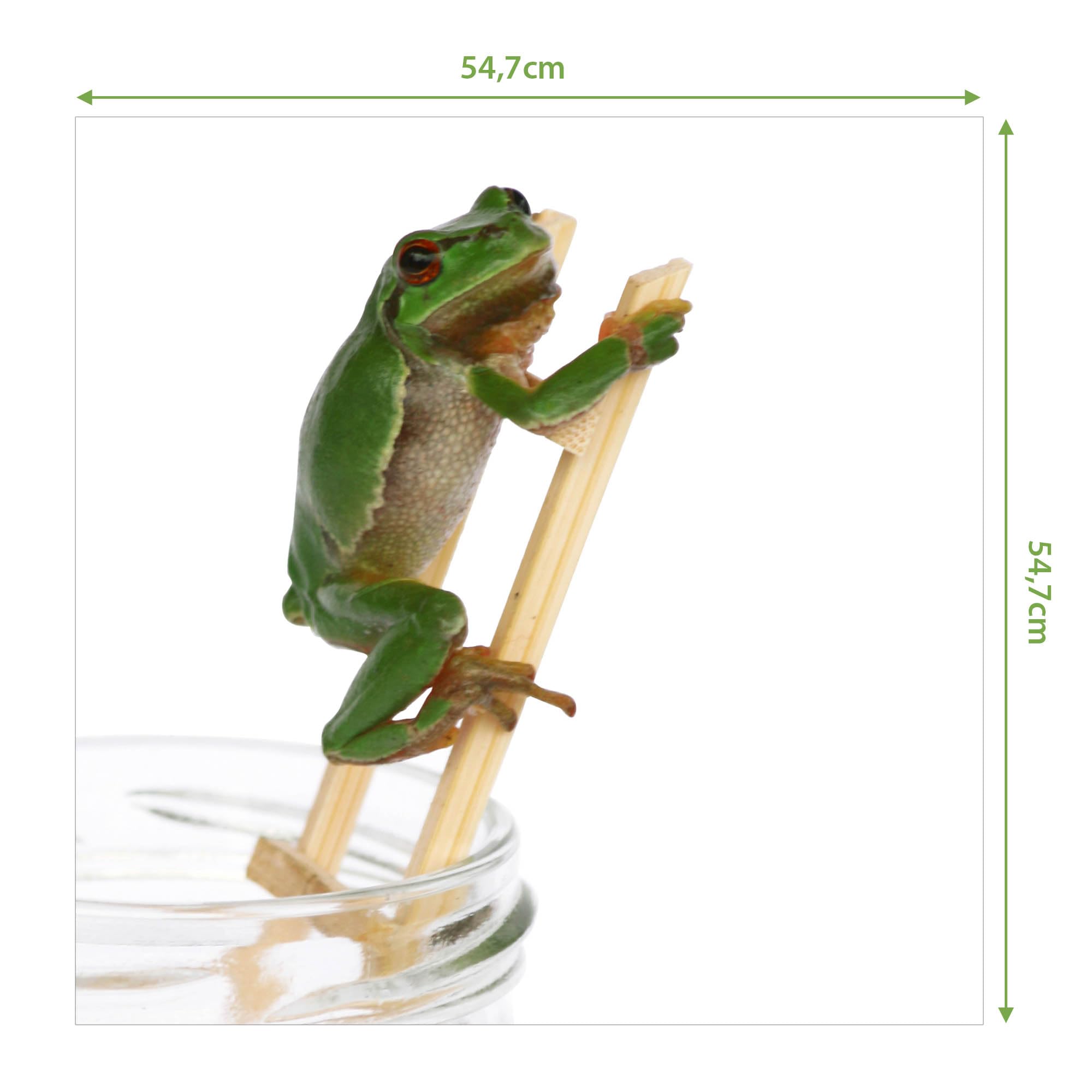 Banjado Möbelfolie Tischfolie Wetterfrosch 55x55 selbstklebend
