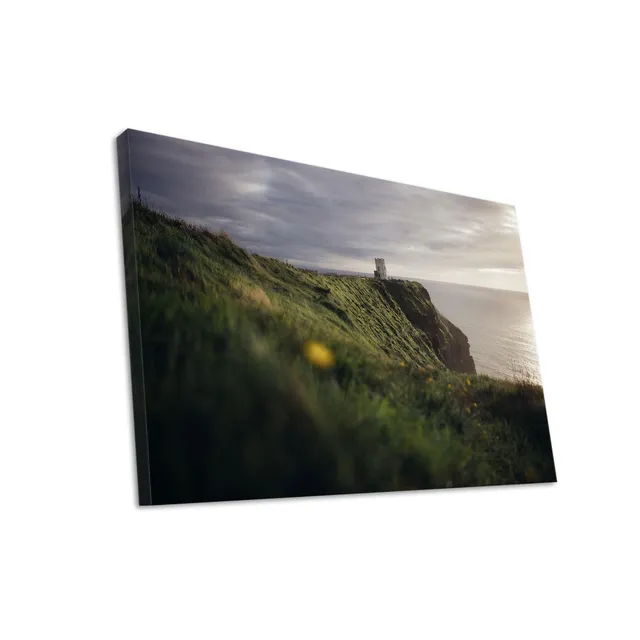 Hustling Sharks Wandbilder Küste Sonnenlicht Leinwand 40x30 Meer
