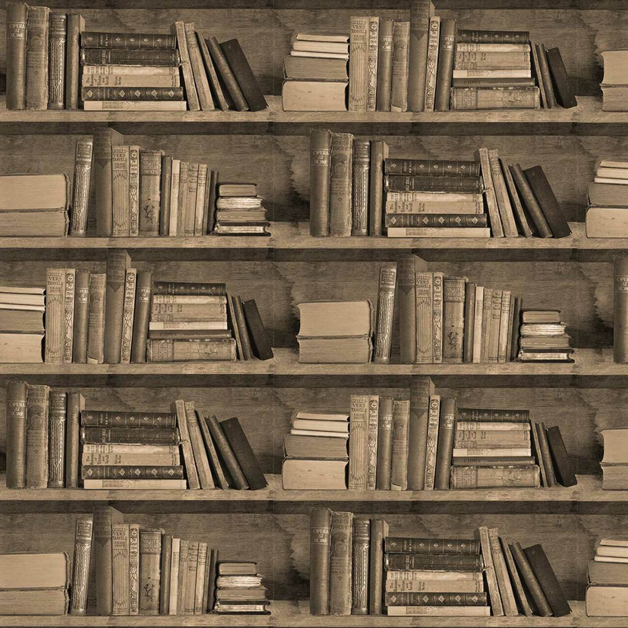 Mineheart Wallpaper Sepia Bookshelf Tapete Bücherregal sepia