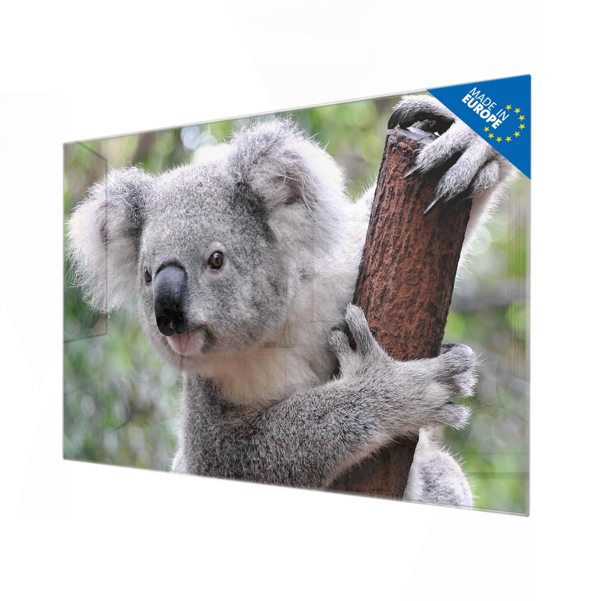 Banjado Magnettafel Koala Glas-Magnettafel 120x80 cm Tiermotiv