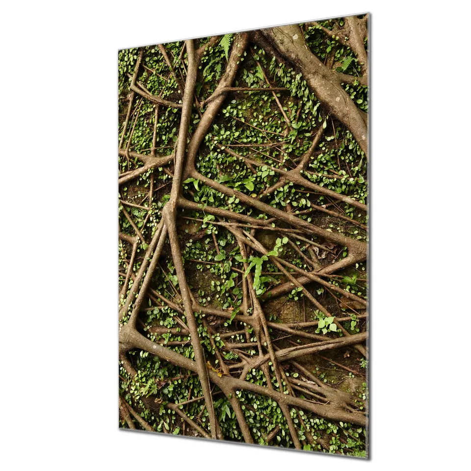 Banjado Magnettafel Baumwurzel Magnetboard 60x40 cm Natur