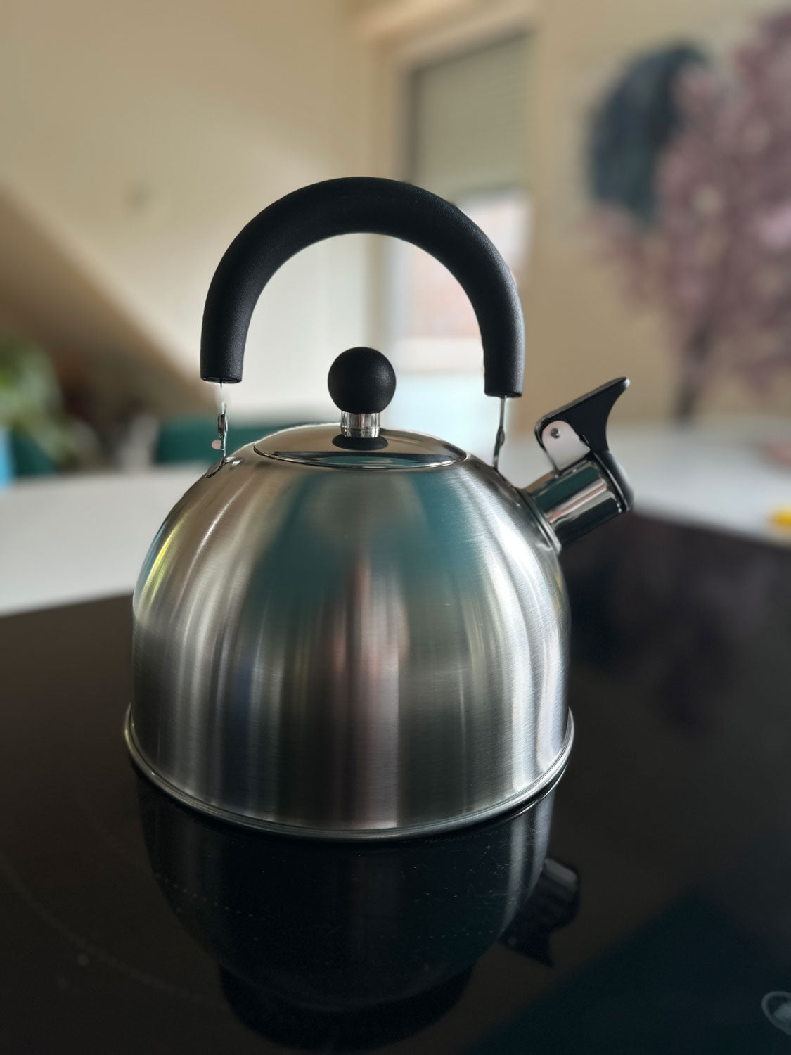 LS-LebenStil Küche & Haushalt Flötenkessel 2,5L Edelstahl Induktion