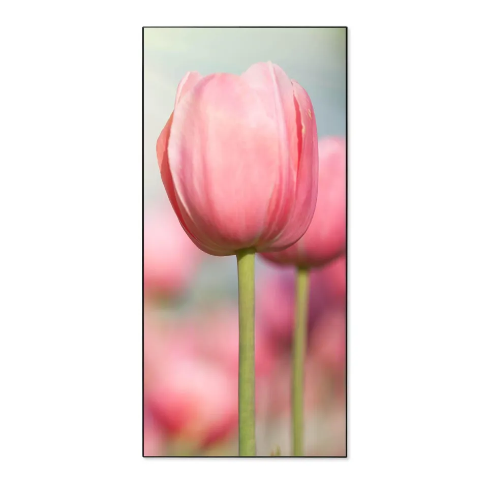 Banjado Magnettafel Tulpen 37x78 Magnetpinnwand schwarz Metall