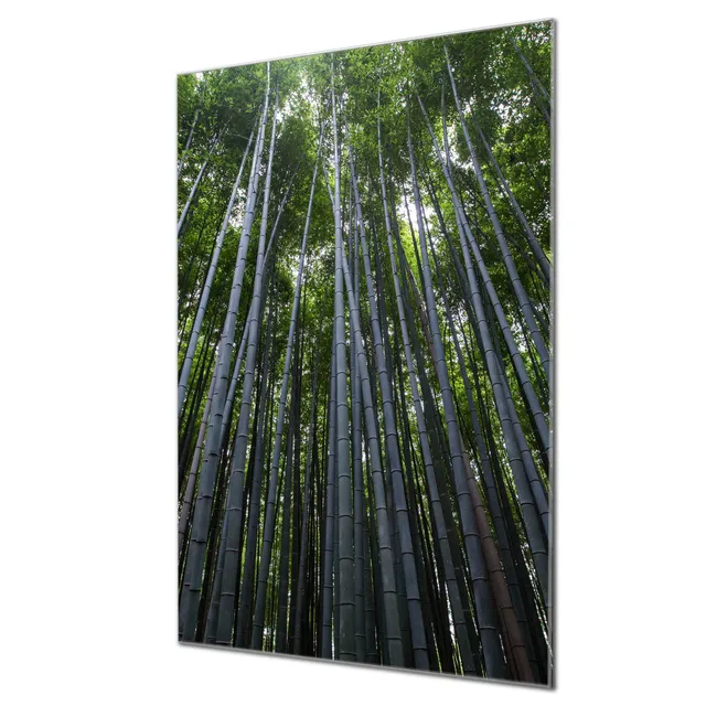 Banjado Glas Magnetwand Bambuswald 40x60cm beschreibbar