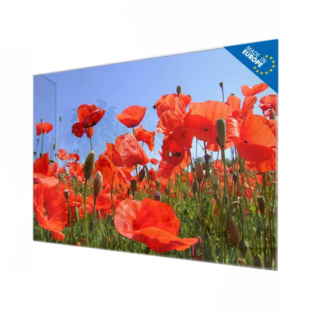 Banjado Magnettafel 120x80 Glasmagnettafel Mohnblumen Glas