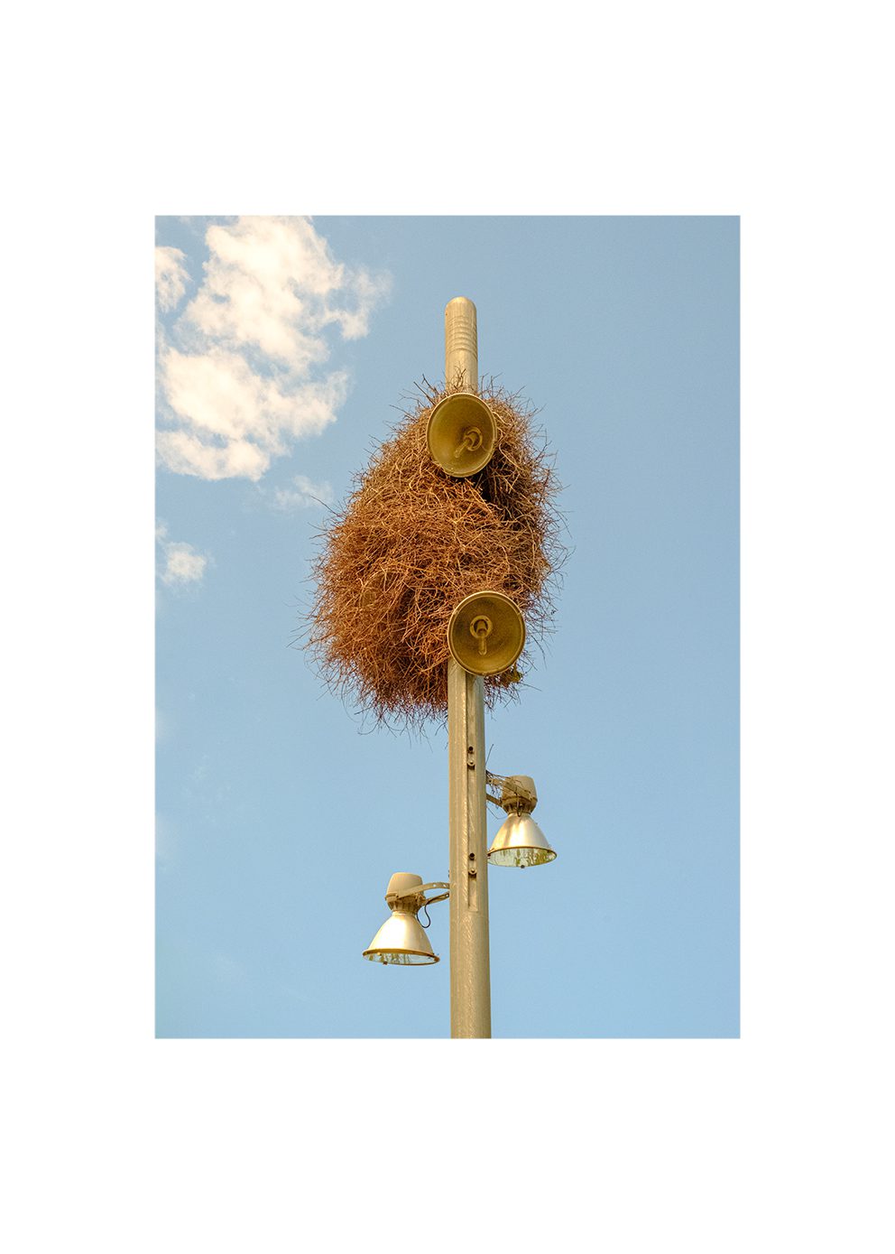 The Poster Club Art Prints A New Home Poster A4 blau Foto
