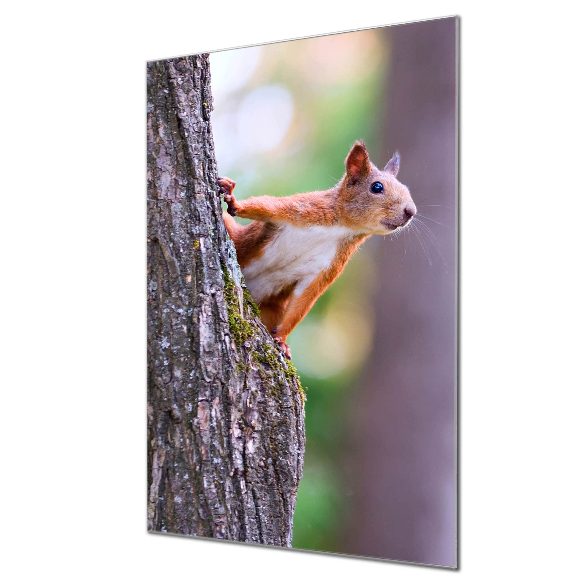 Banjado Magnettafel Drei Waschbären Magnetboard 40x60 beschreibbar