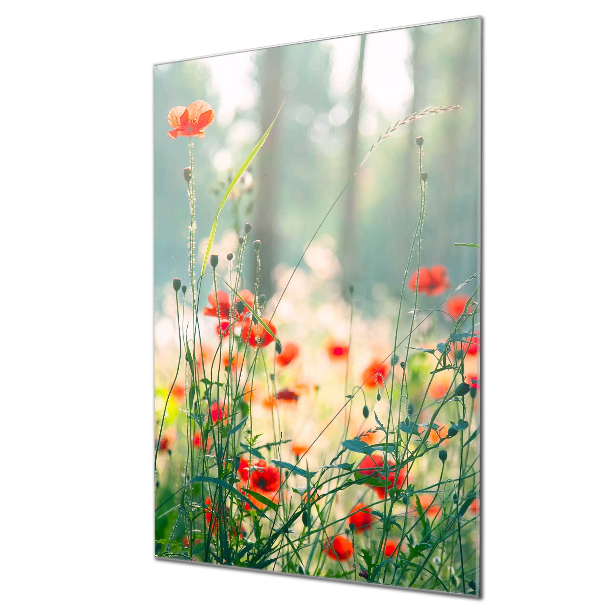 Banjado Magnettafel Waldmohn 60x40 cm Glas beschreibbar