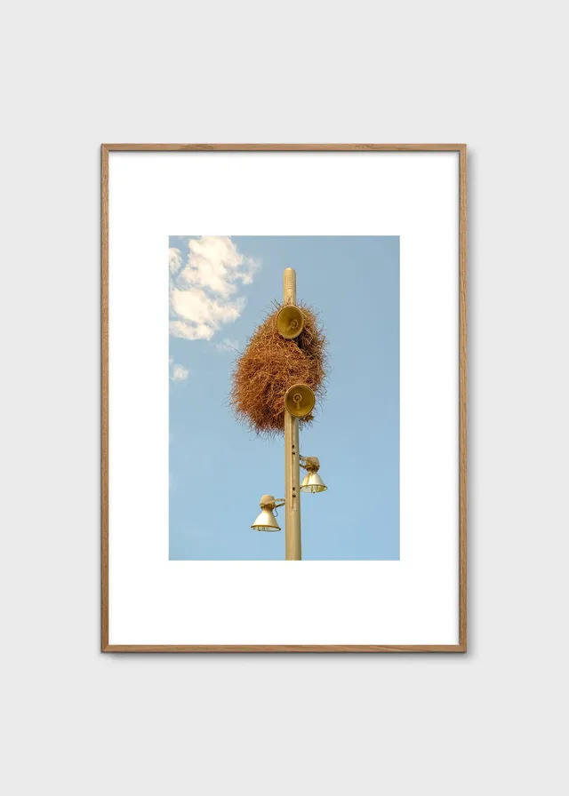 The Poster Club Art Prints A New Home Poster A4 blau Foto