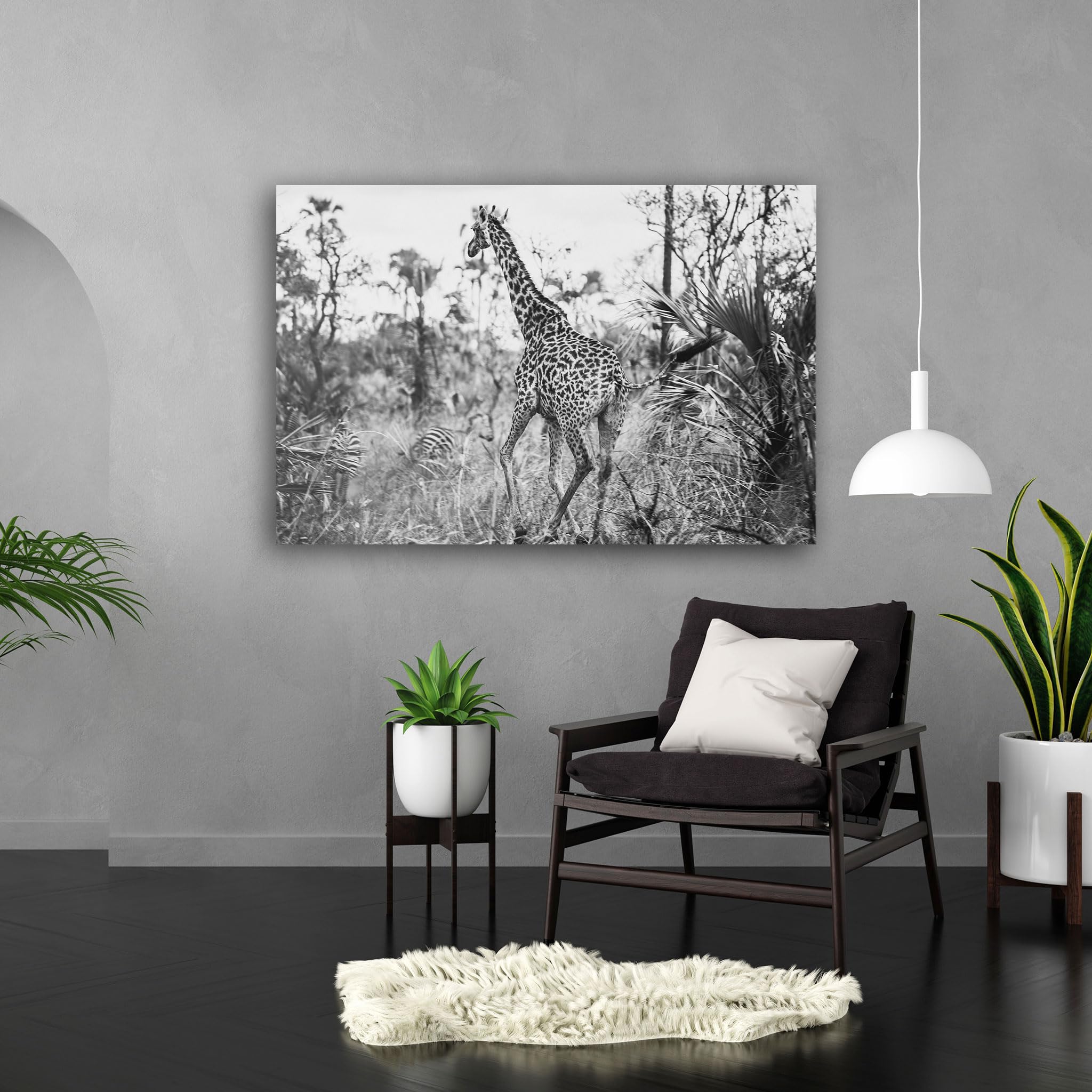 Hustling Sharks Wandbilder Giraffe im Schwarzweißlicht Leinwand 30x40