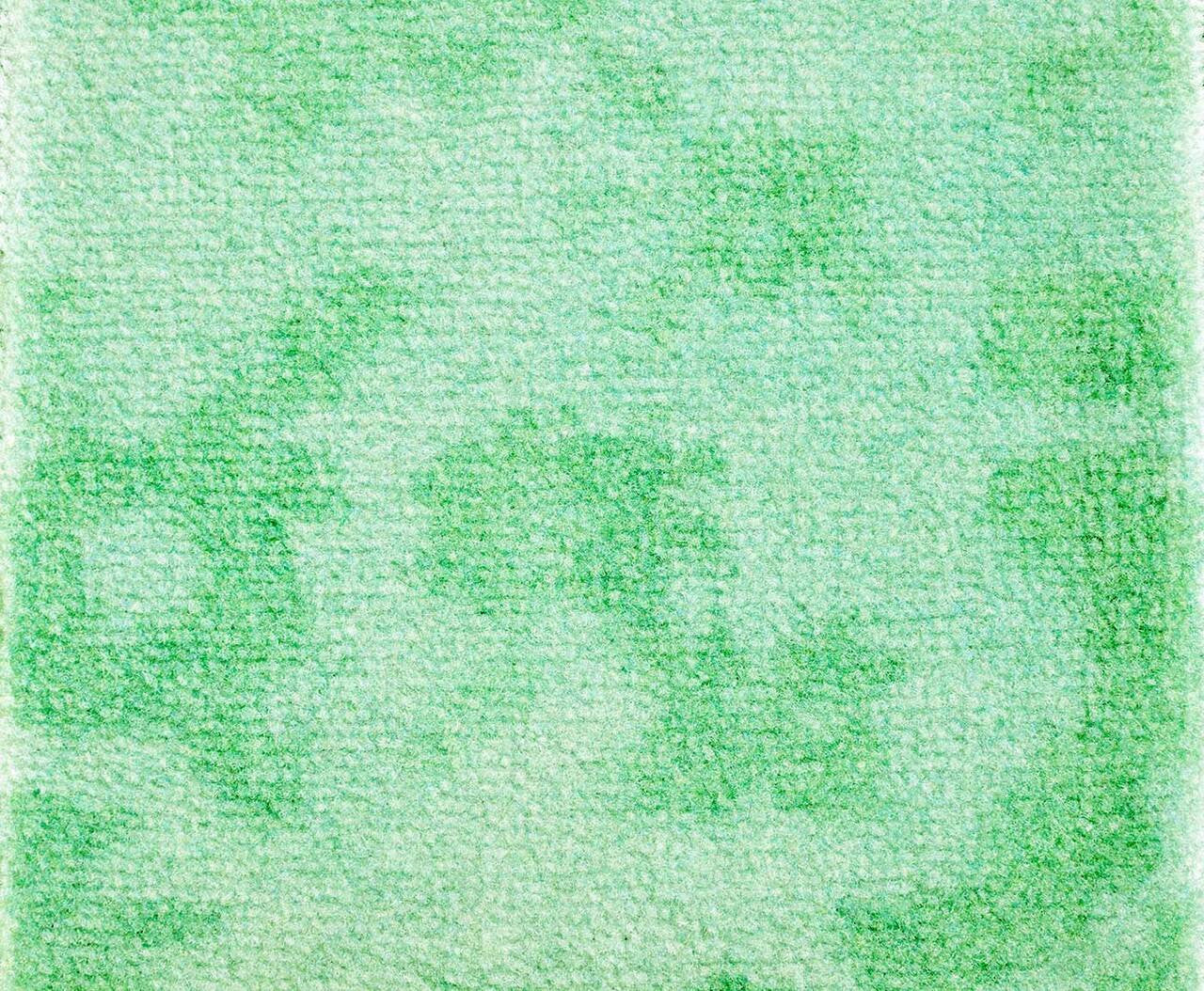 Mineheart Kashan Remix Light Green Teppich Muster 20x20 cm