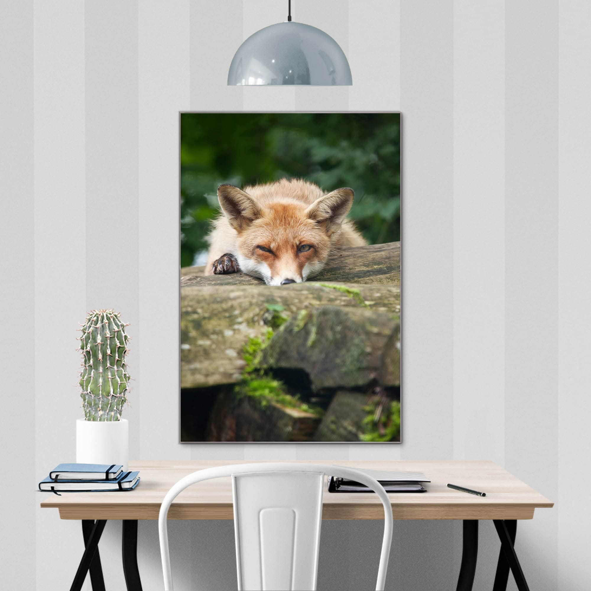 Banjado Magnettafel Fuchs Relax Magnetwand 60x40 cm Glas