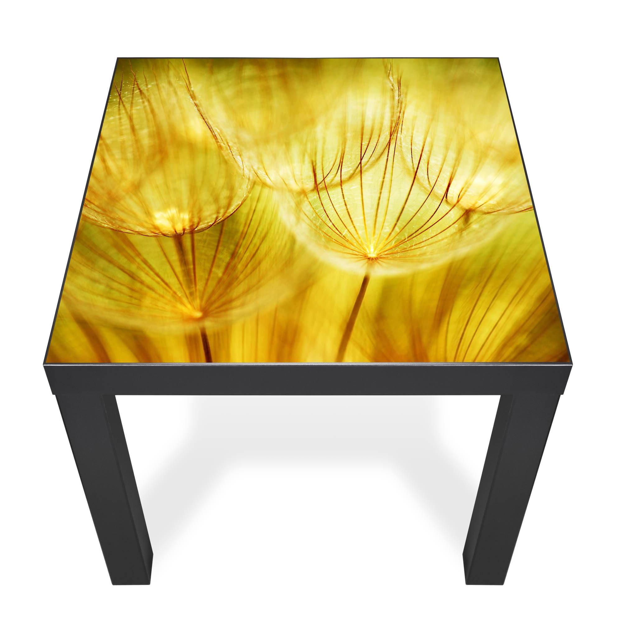 Banjado Möbelfolie Pusteblumen Gold Tischfolie 55x55