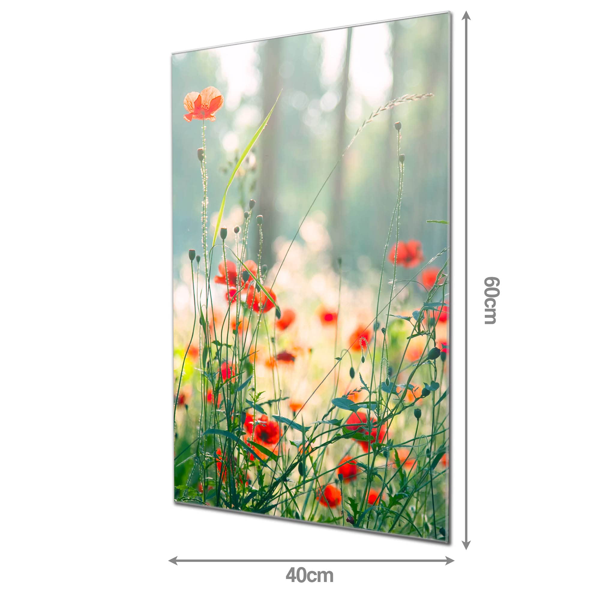Banjado Magnettafel Waldmohn 60x40 cm Glas beschreibbar