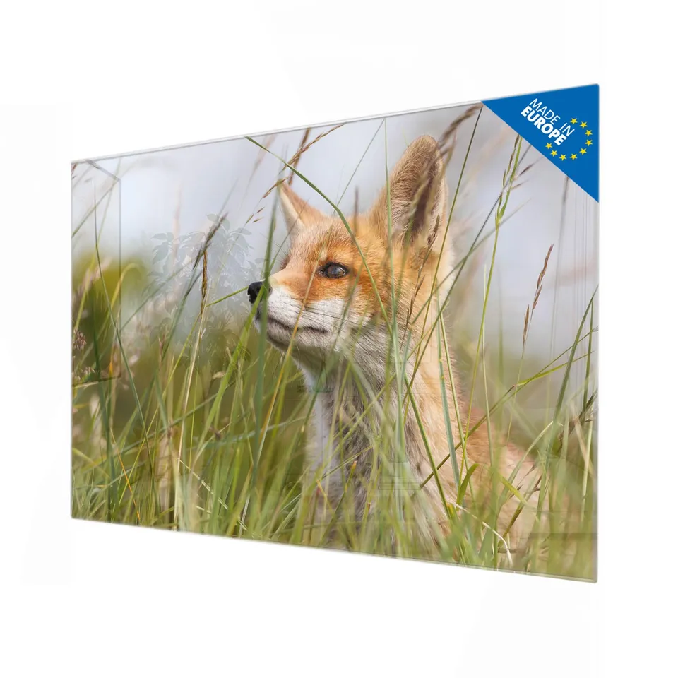 Banjado Magnettafel Fuchs Magnetboard 120x80 Wildtier