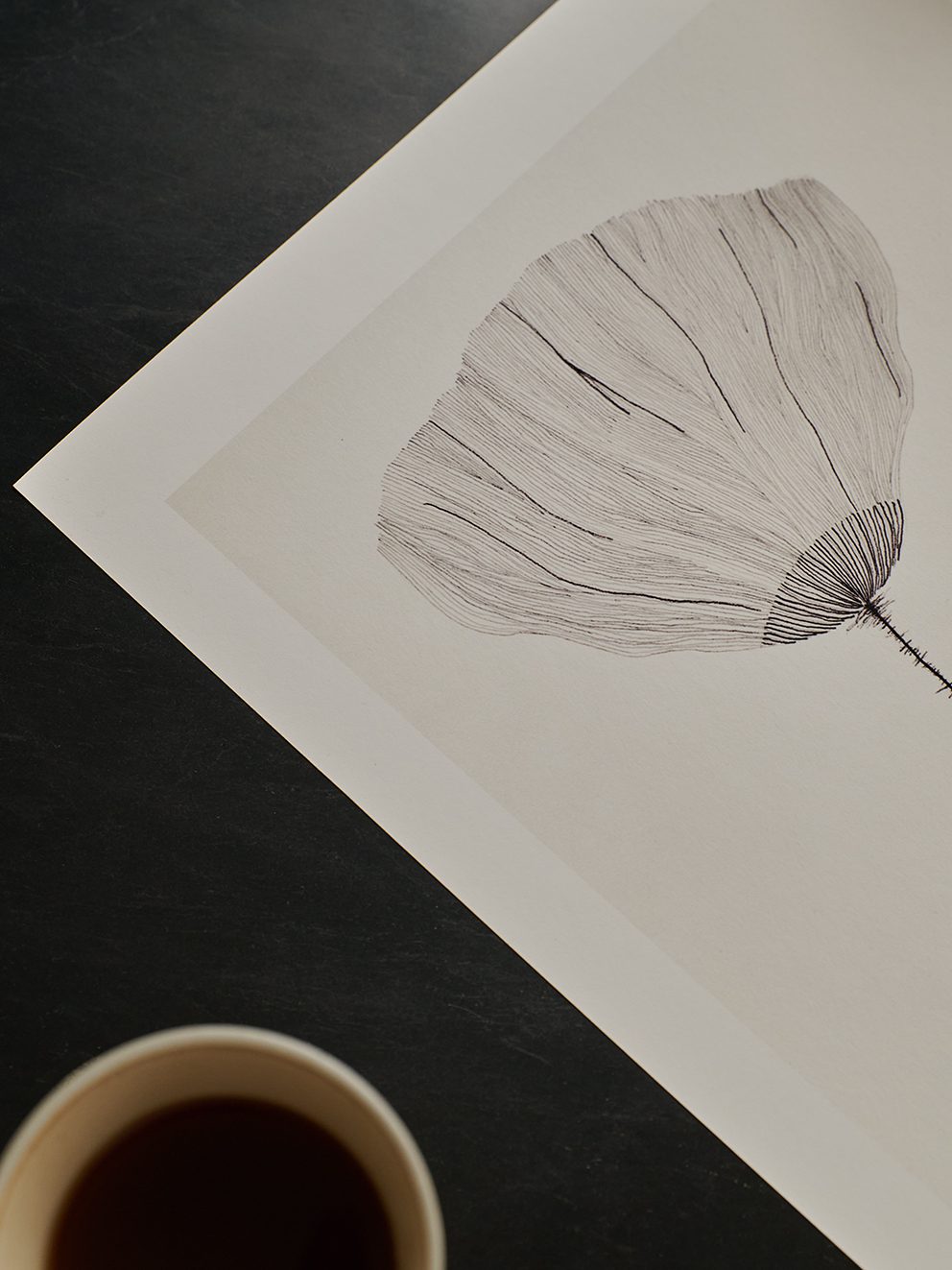 The Poster Club Poppy Poster 30x40 cm Botanik