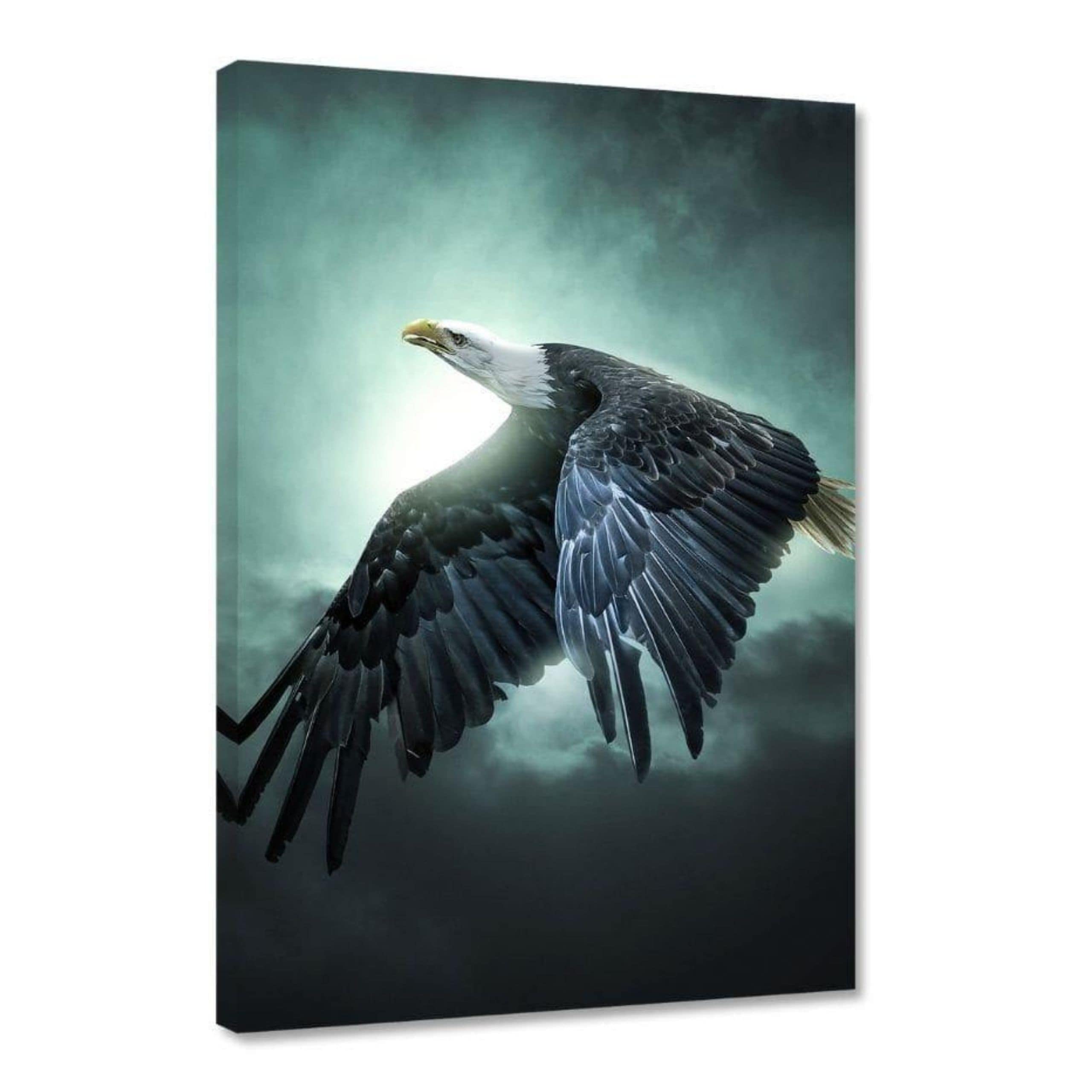 Hustling Sharks Wandbilder Der Adler Wandbild 30x45 Tierbild