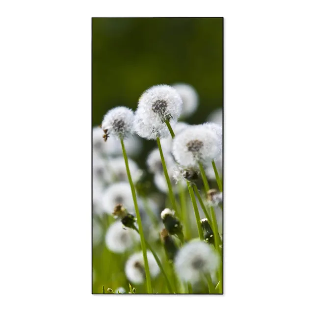 Banjado Magnettafel 37x78 Magnetwand Pusteblumenwiese Metall