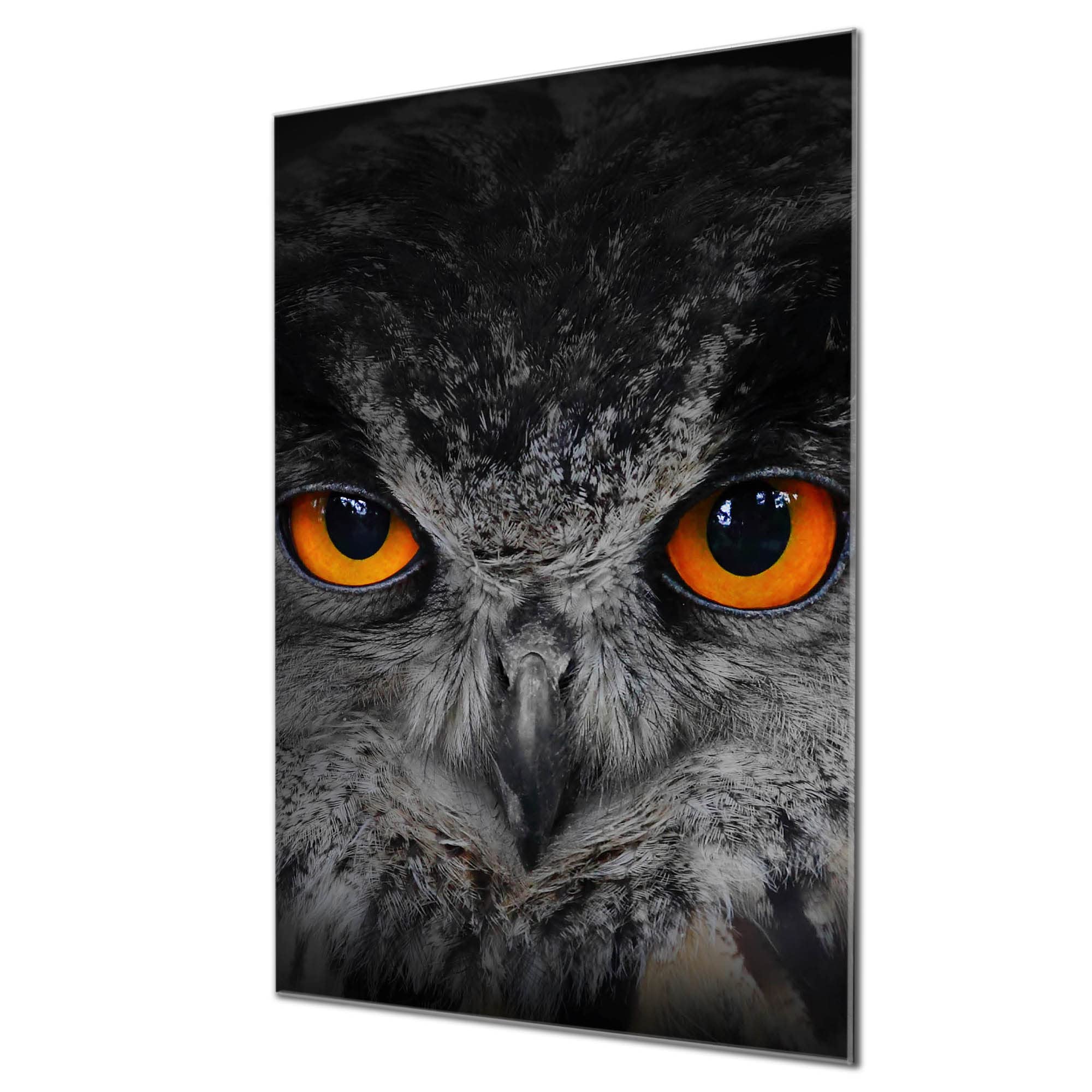 Banjado Magnettafel Drei Waschbären Magnetboard 40x60 beschreibbar
