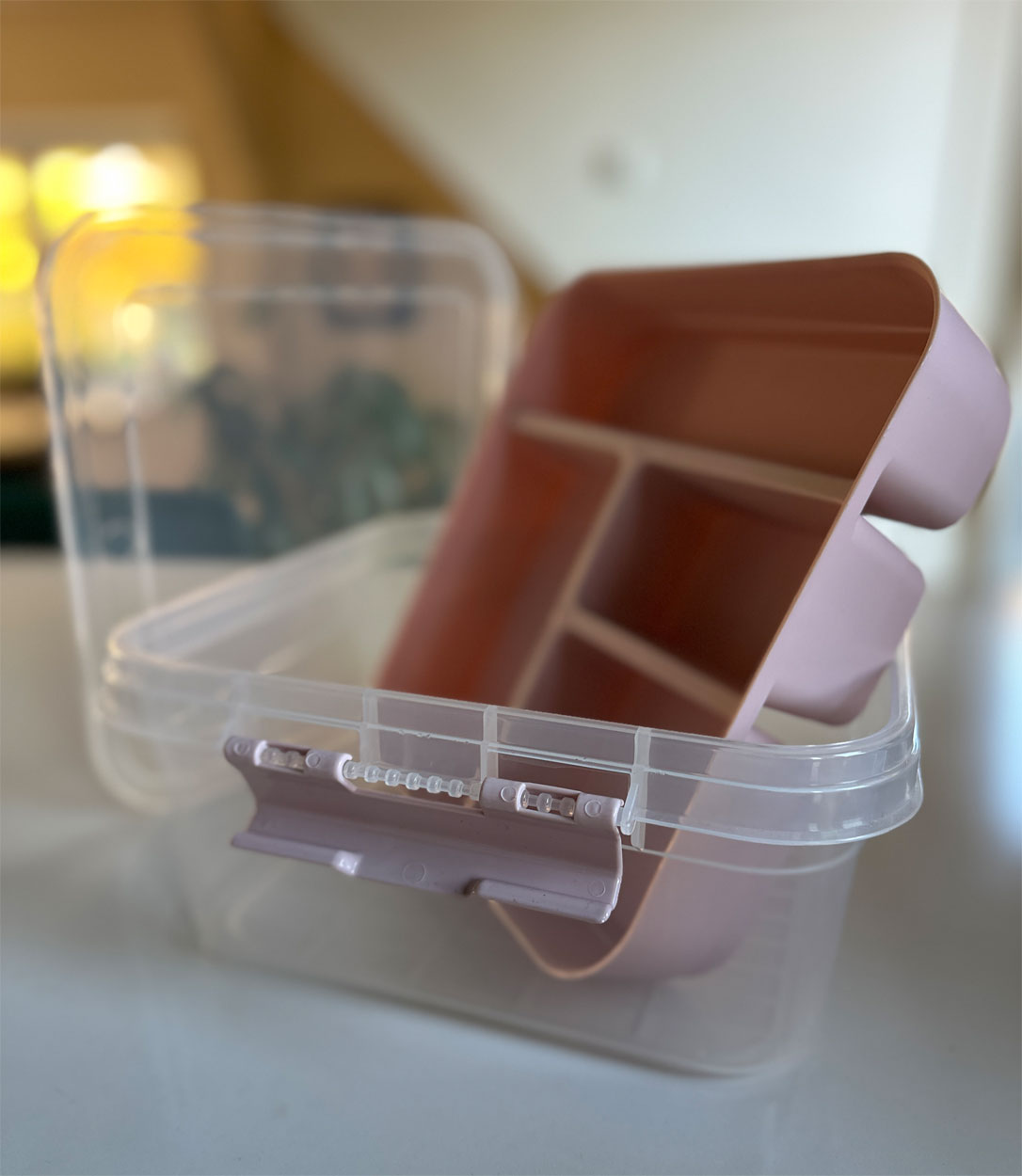 LS-LebenStil Sortierbox Aufbewahrungsbox Rosa 26cm