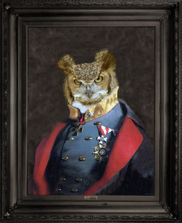 Mineheart Grandfather Olaf Leinwandbild 41x51cm Eule