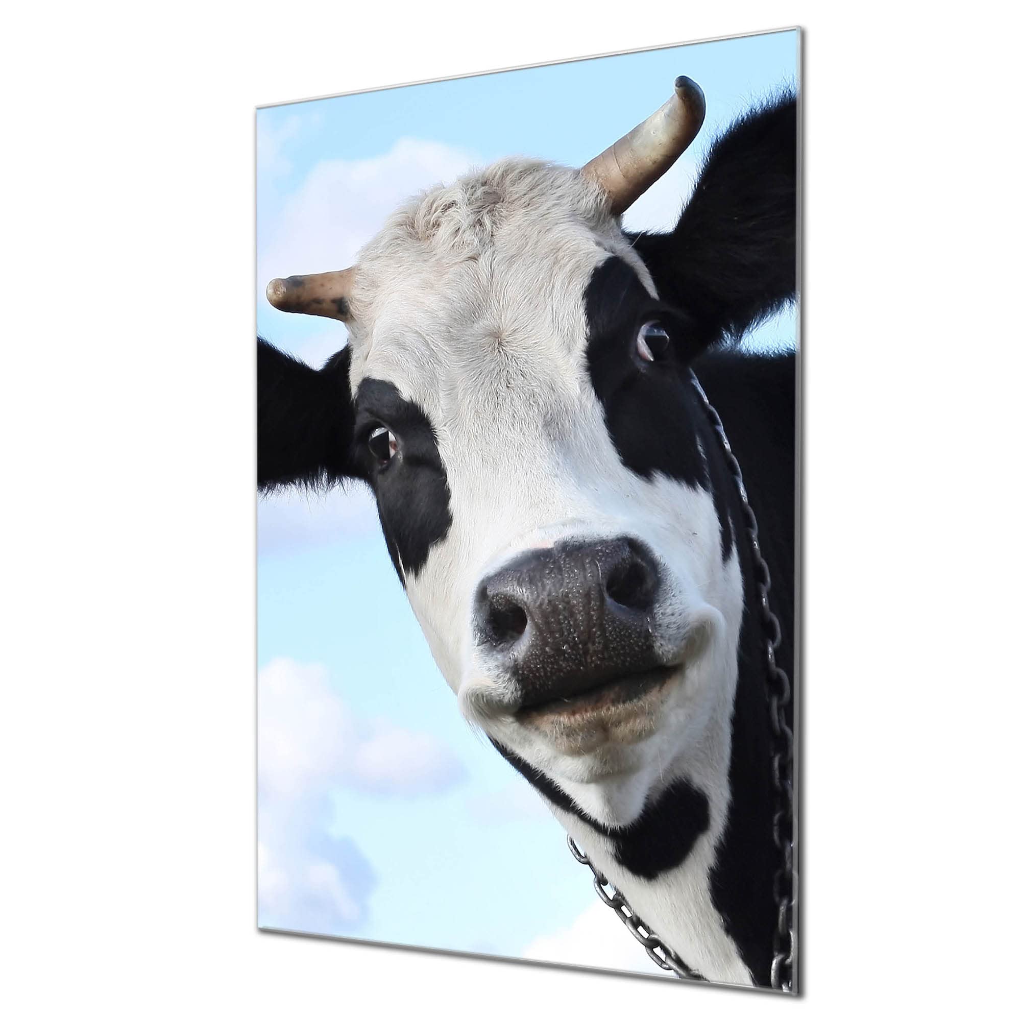 Banjado Magnettafel Glas 60x40cm Schaf und Lamm Tier