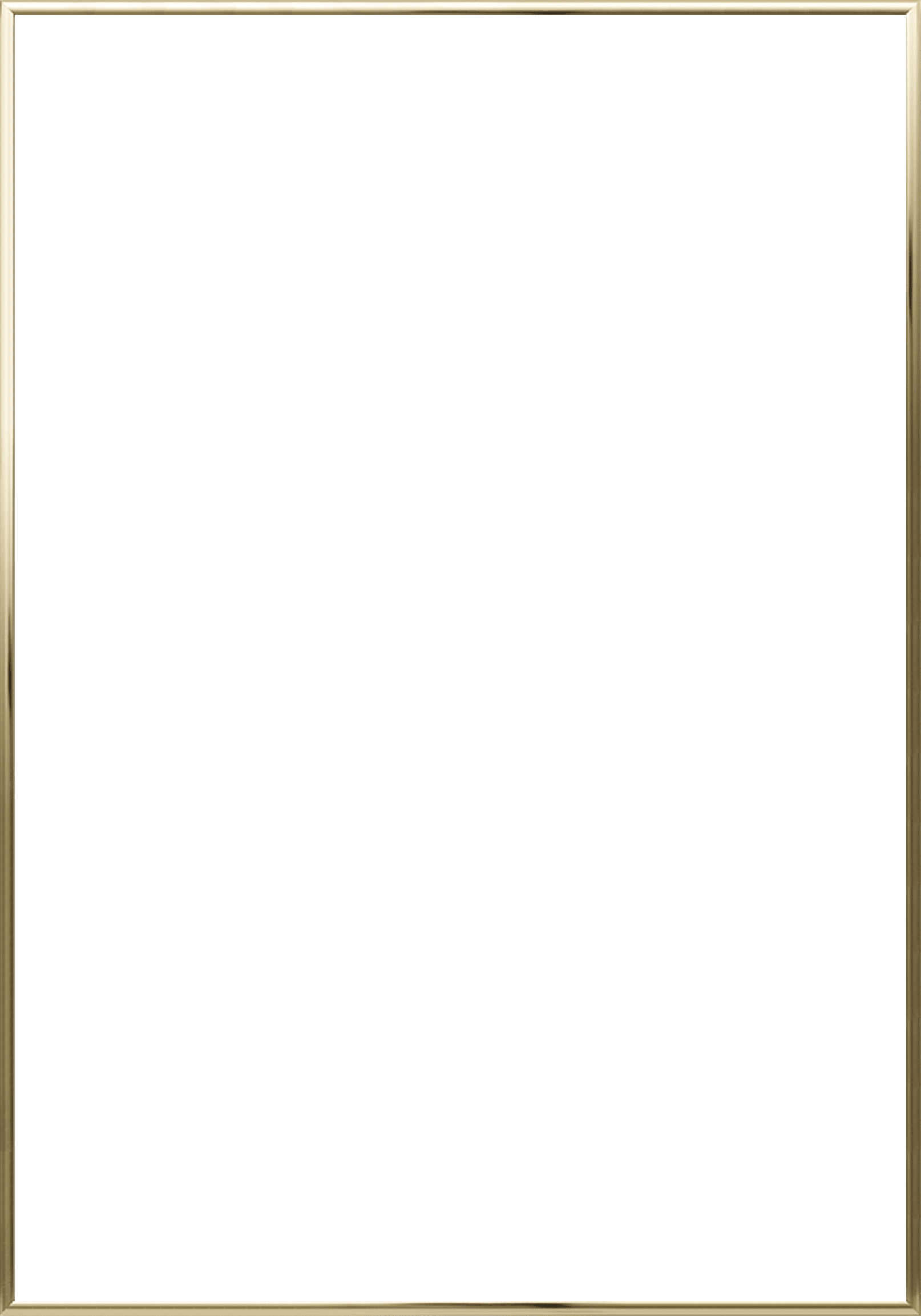 The Poster Club Brass Alu-Rahmen 50x70 cm messing