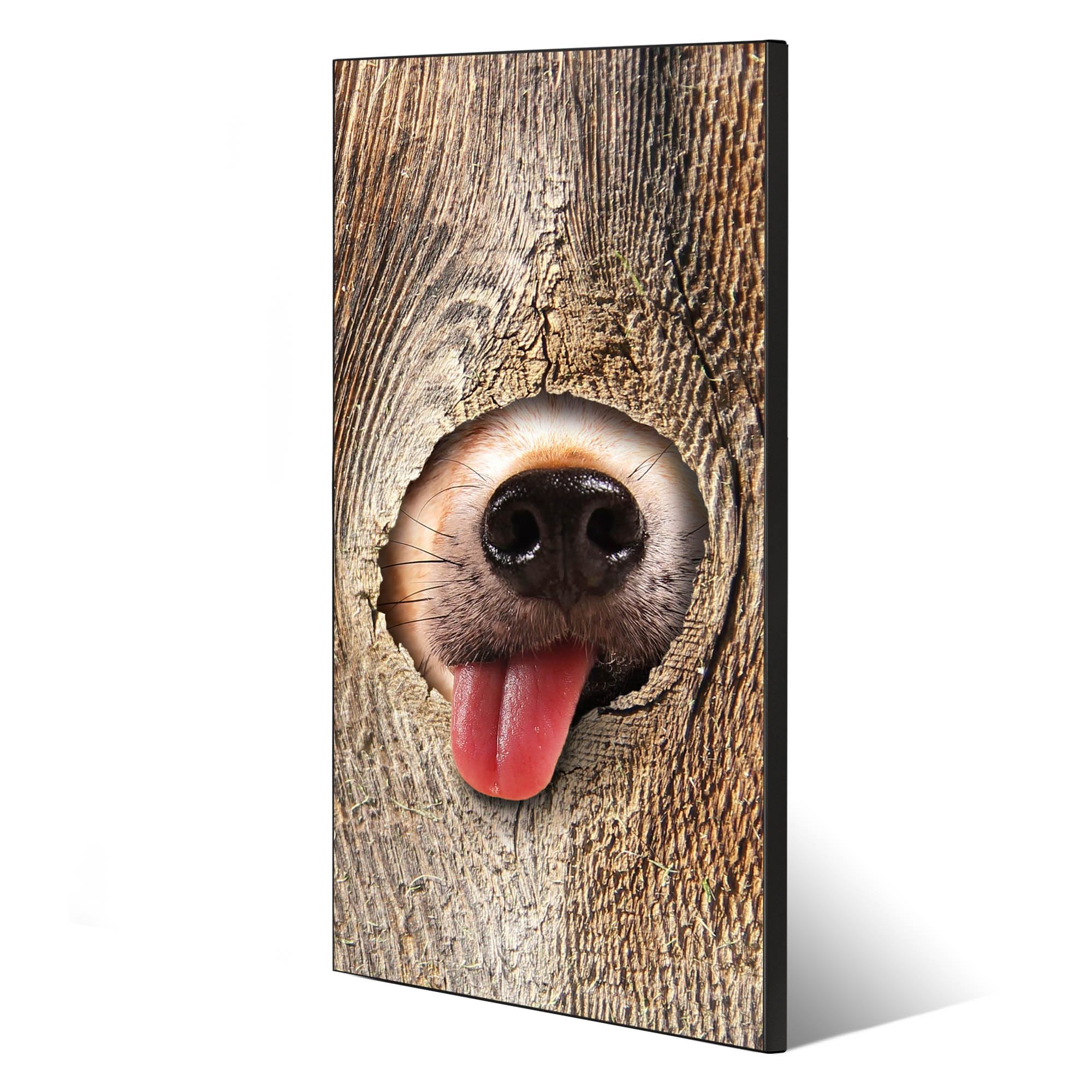 Banjado Magnettafel Rumschnüffeln 37x78 cm Magnetwand