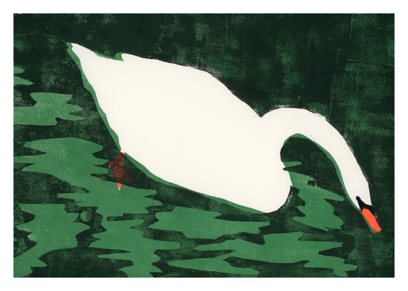 The Poster Club Art Prints Cisne Blanco Kunstdruck 30x40 grün
