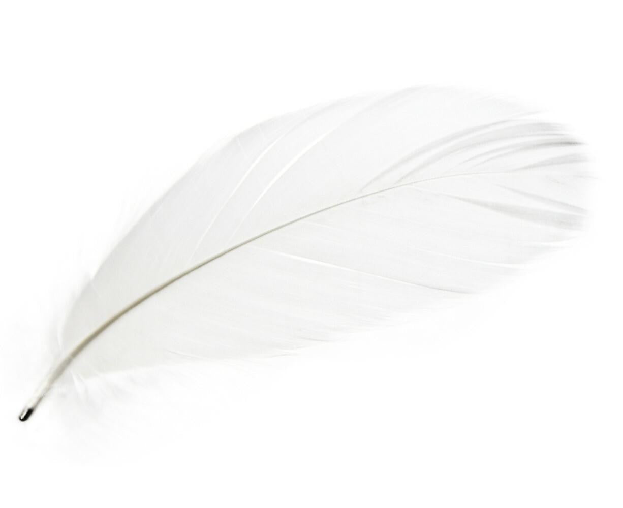 Mineheart Magic Magnetic Feathers Magnete Weiß 5er Set