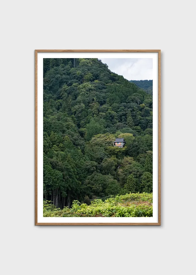 The Poster Club Kyoto Poster 30x40 cm Grün Foto