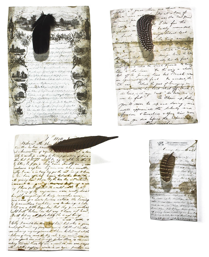 Mineheart Homeware Magic Magnetic Feathers Magnet Woodland 5er