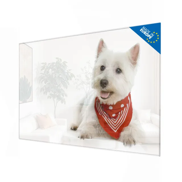 Banjado Magnettafel Westie Magnetboard Glas 120x80 cm Hund
