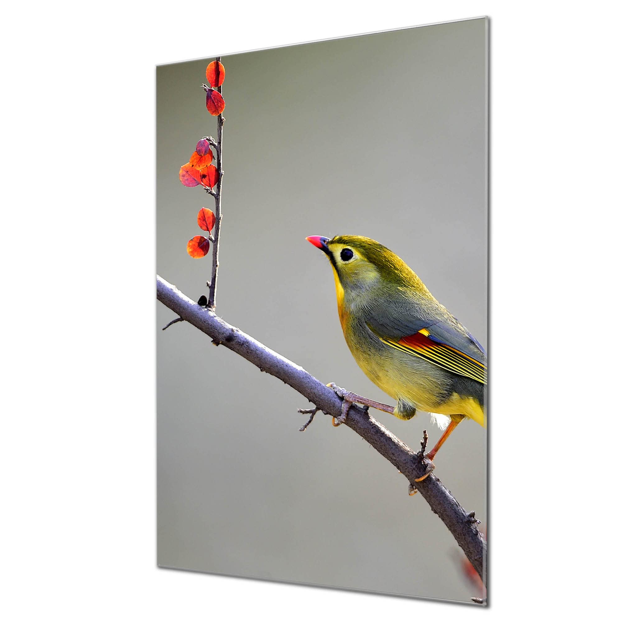 Banjado Magnettafel Herbst Vogel Glasboard 60x40cm