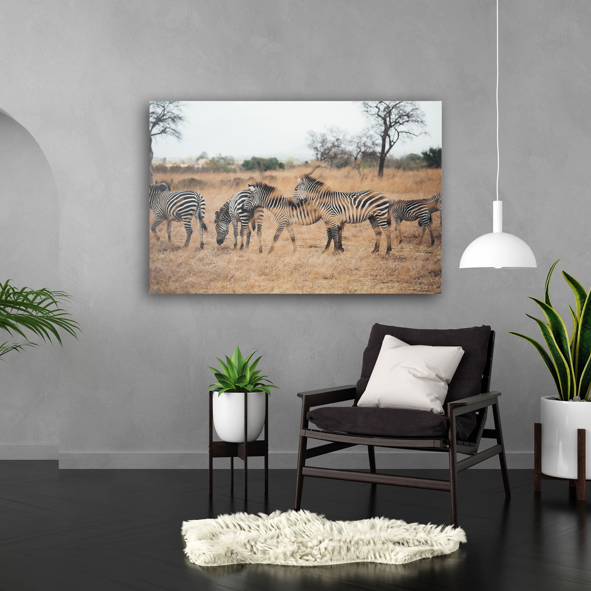 Hustling Sharks Wandbilder Zebragruppe Leinwandbild 30x40 cm Gras