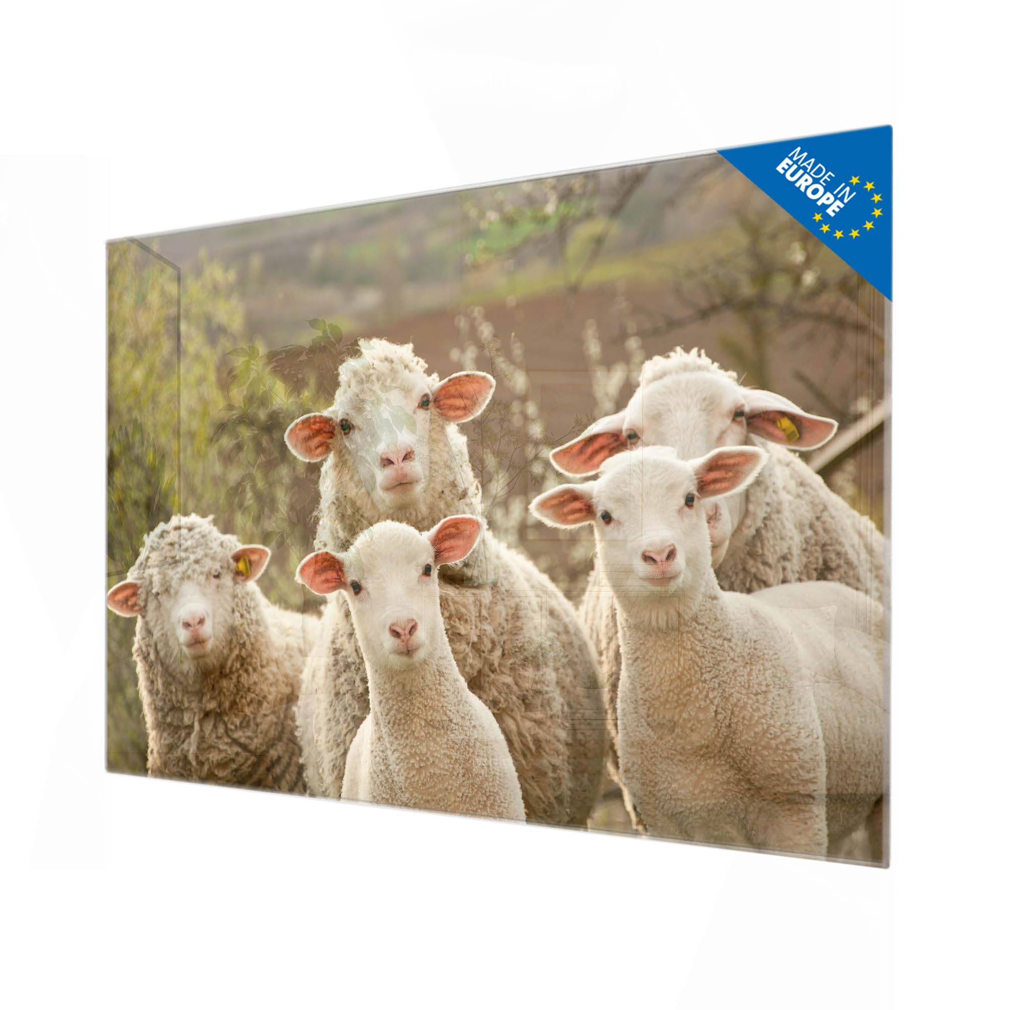 Banjado Magnettafel Schaffamilie Glas 120x80 cm Tiermotiv