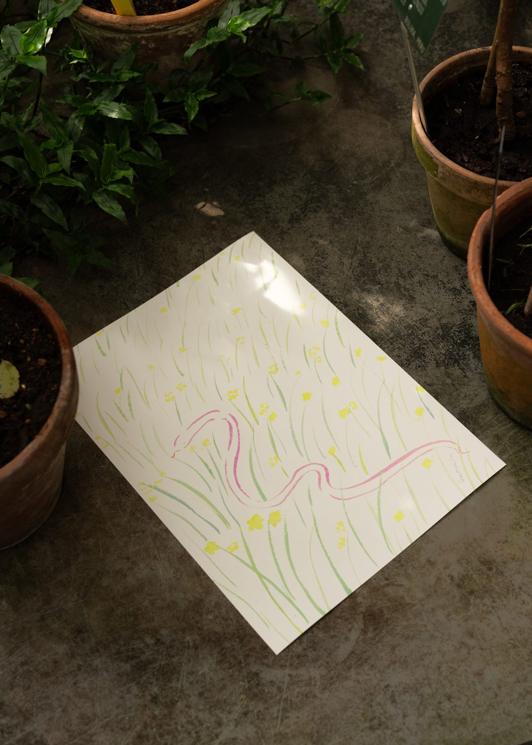 The Poster Club Daffodils and Snake Kunstdruck A4 botanisch