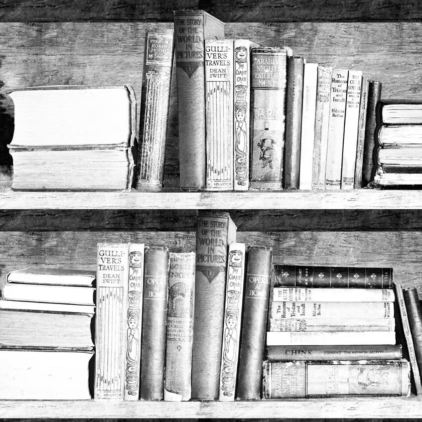 Mineheart Photocopy Bookshelf Tapete Bücherregal SW