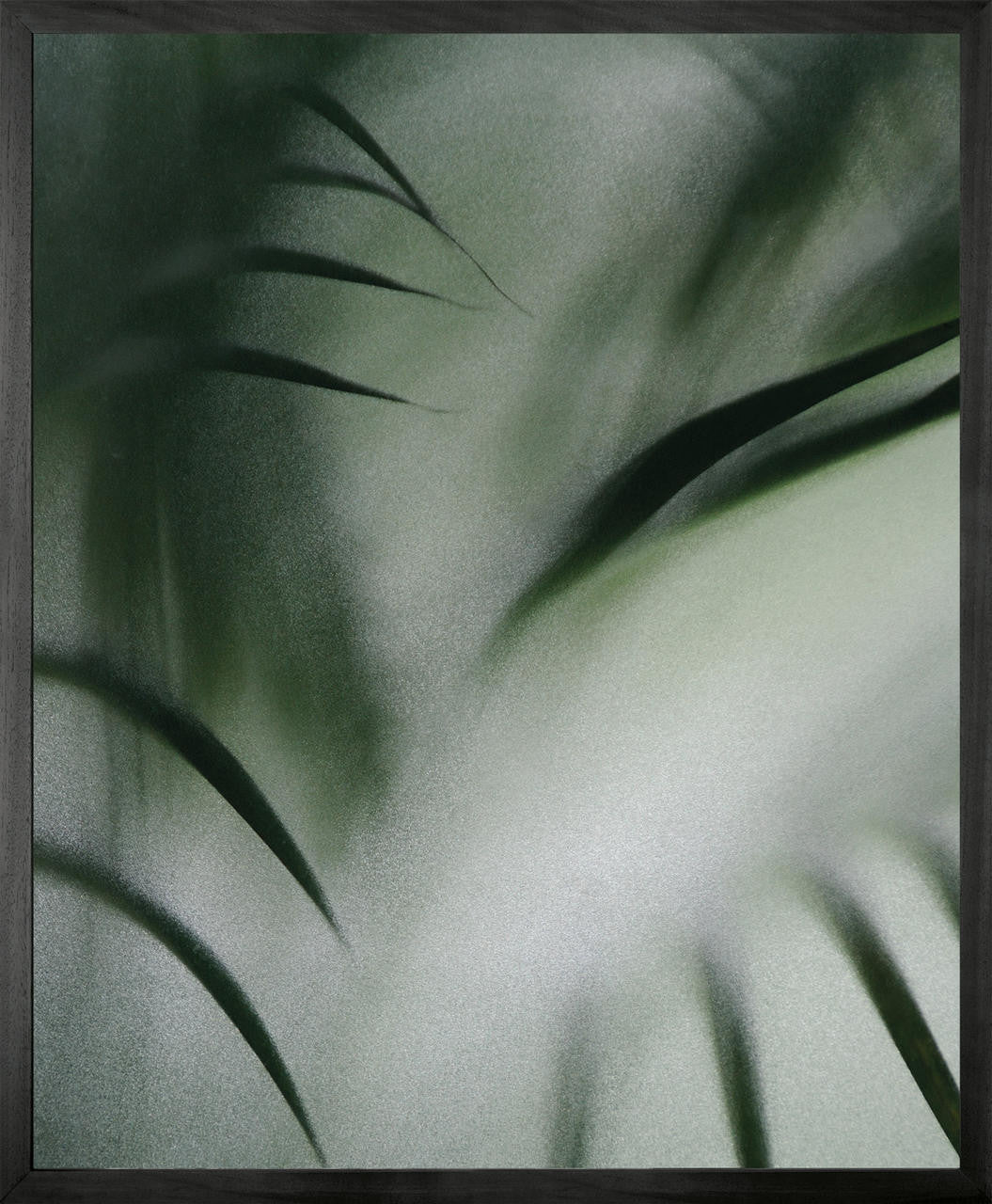 Mineheart Palm Etch 4 Wandbild Canvas 60x81 cm
