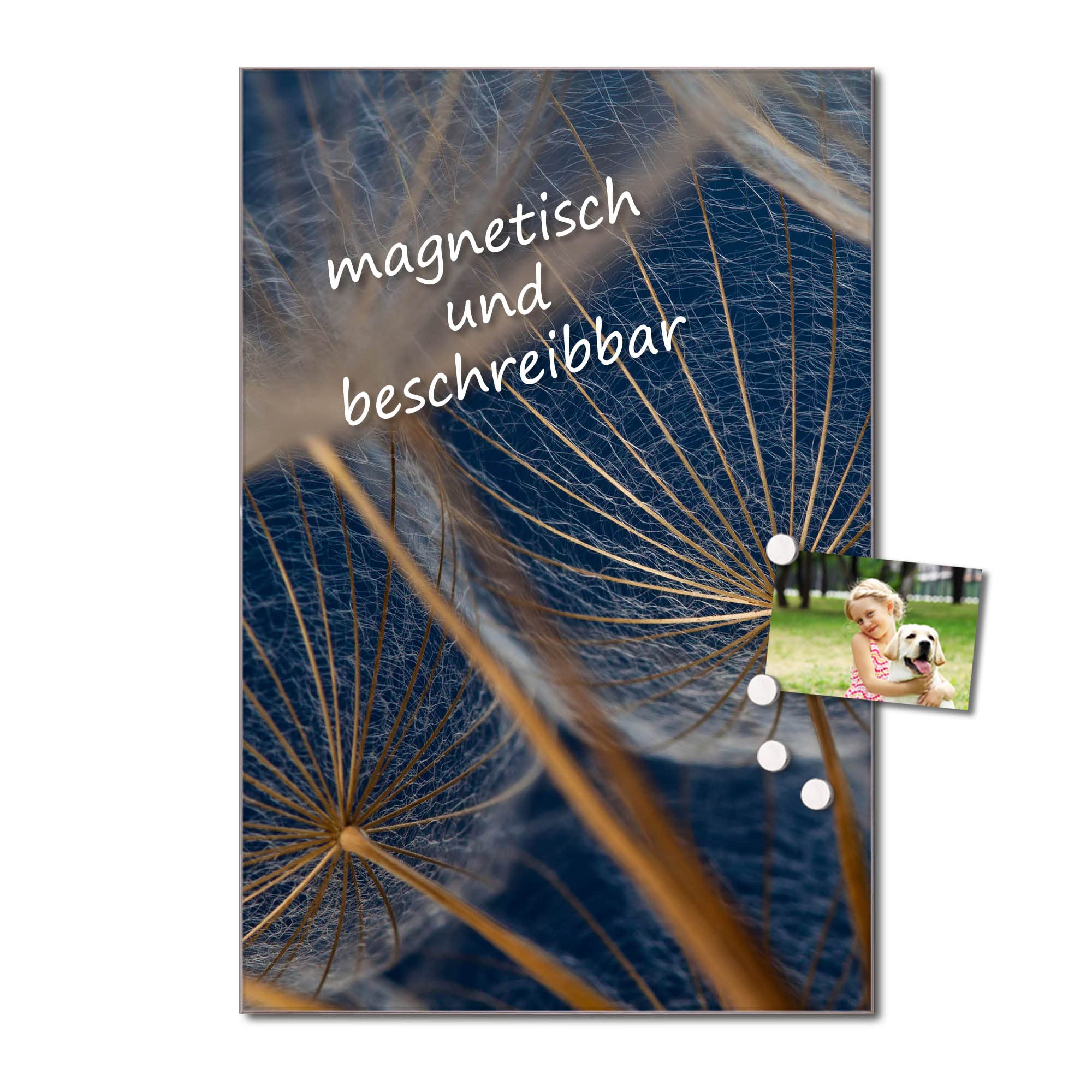 Banjado Magnettafel Verblüht Glasboard 60x40cm beschreibbar