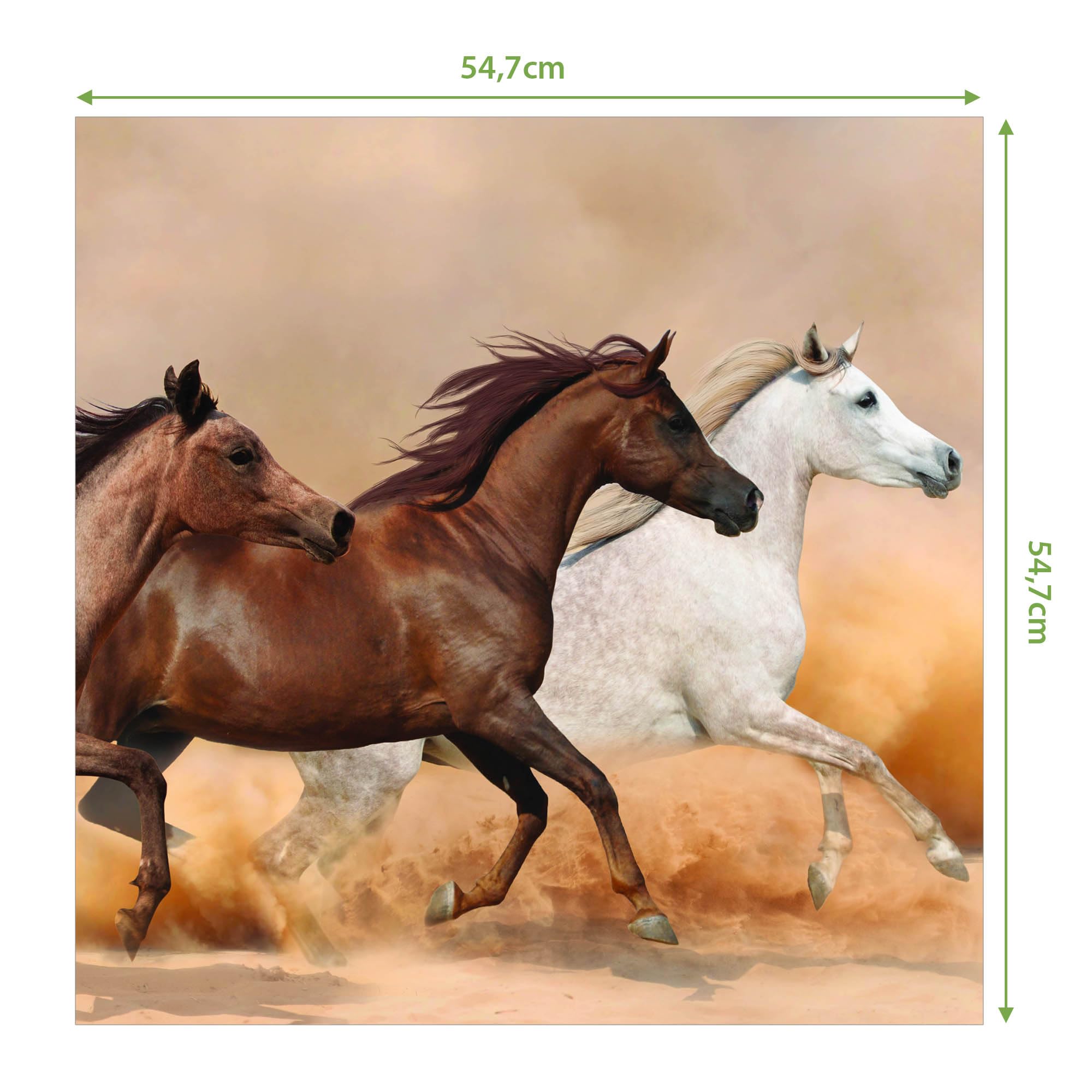 Banjado Möbelfolie Tischfolie Wilde Pferde 55x55 cm