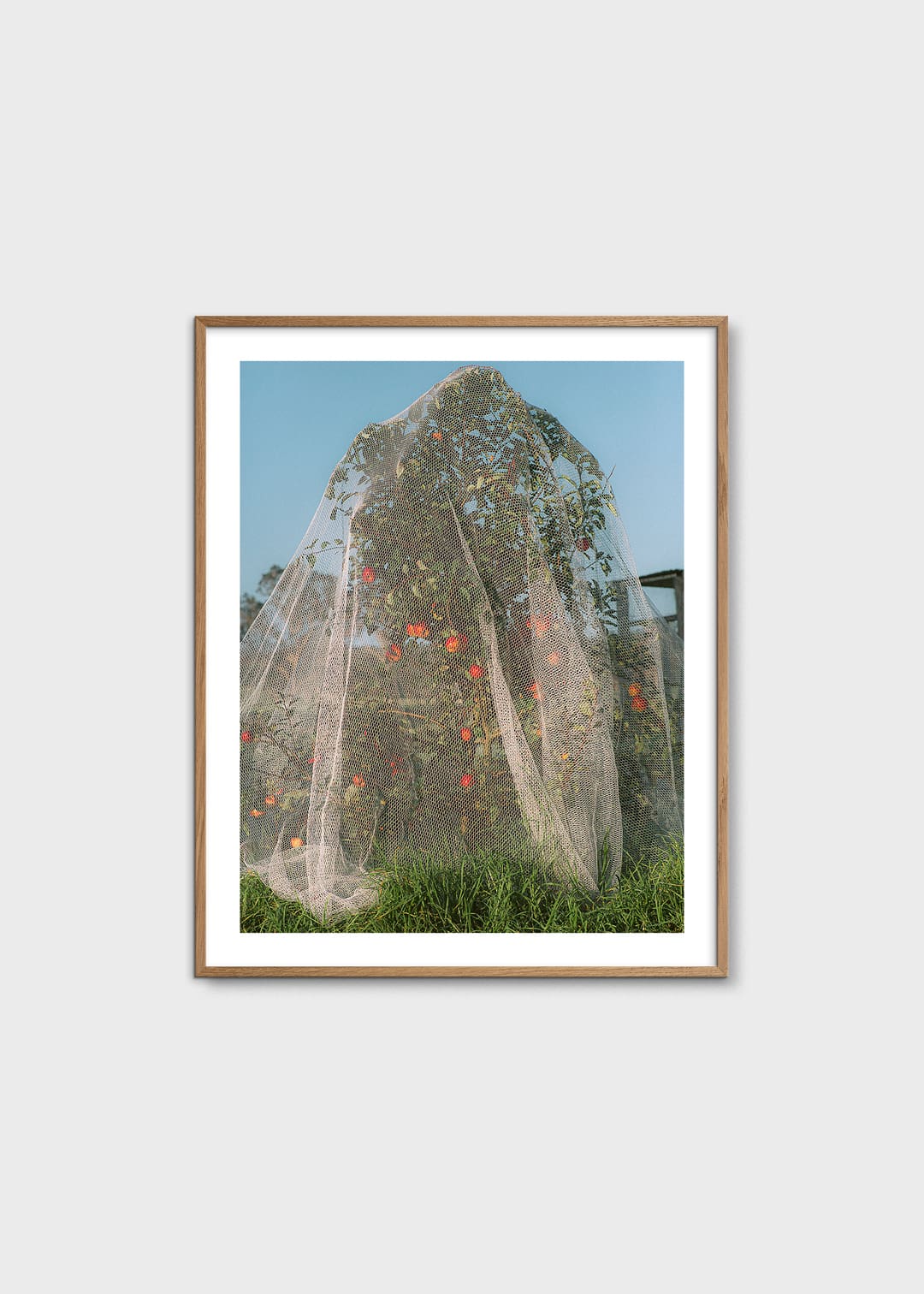 The Poster Club Apple Tree Poster 40x50 cm botanisch