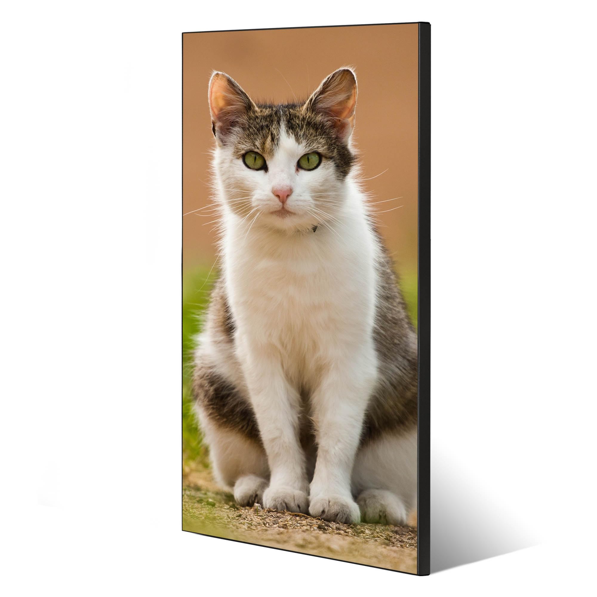 Banjado Magnettafel Suse Magnetpinnwand 37x78cm Katzenmotiv